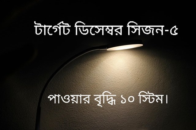 p1.jpg