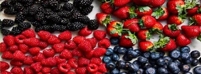 Berries-10 Best Foods for Diabetes.jpg