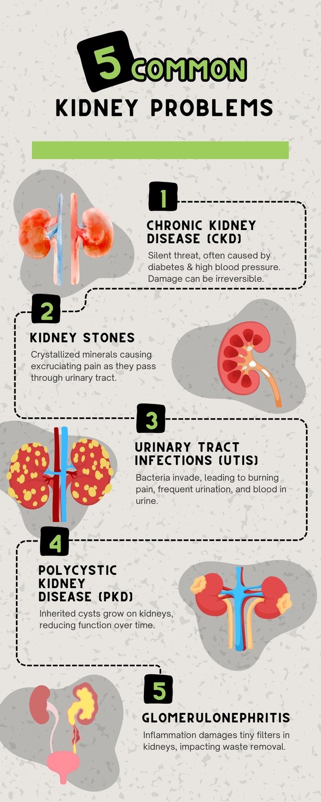 5 Common Kidney Problems - Infographic.jpg