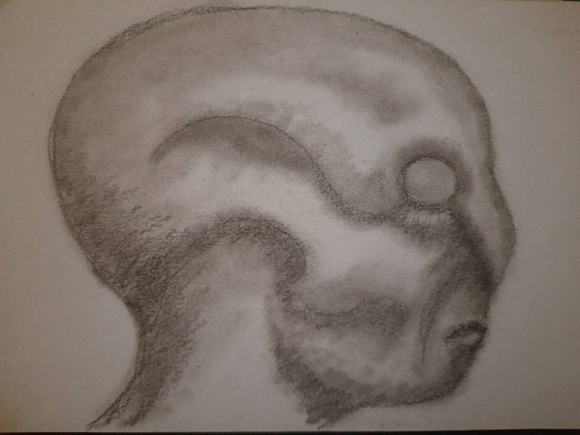 20250808_103242.jpg