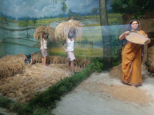 IMG20250312130029.jpg