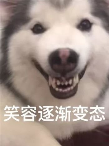 笑容逐渐变态.jpeg