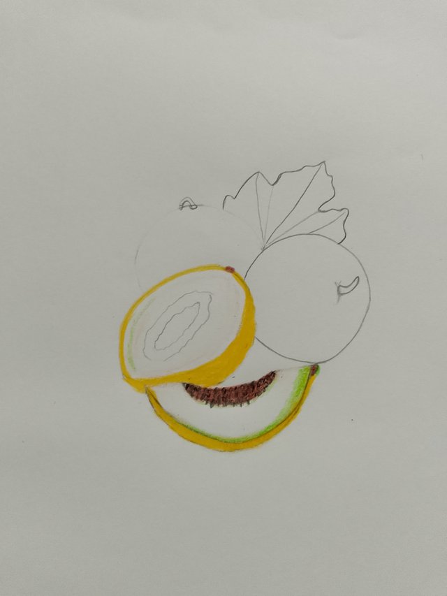 1000055124.jpg