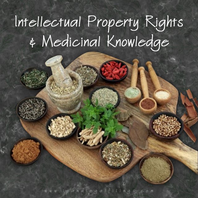 Intellectual-Property-Rights-in-the-Realm-of-Medicinal-Knowledge.jpg