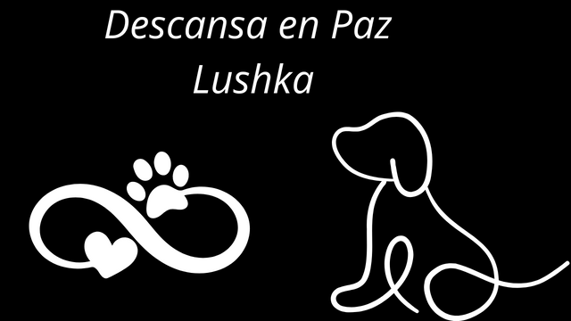 Descansa en Paz Lushka.png
