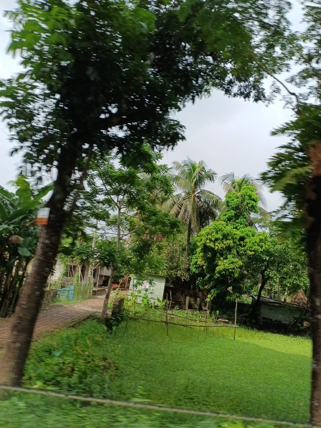 2210.jpg