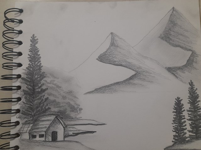 1000121429.jpg