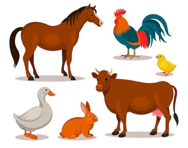 flat-design-farm-animal-collection_52683-12479 (1).jpg