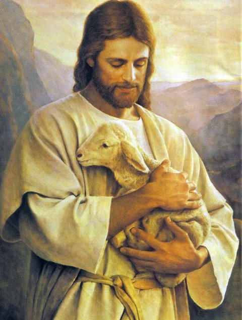 Jesus_Lamb.jpg