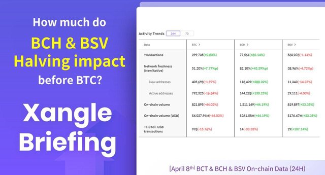 04.08 bsv bch ENG.jpg