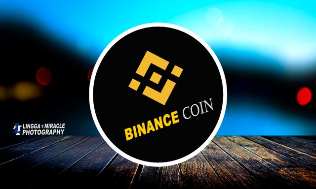 Binance Coin Lingga.jpg