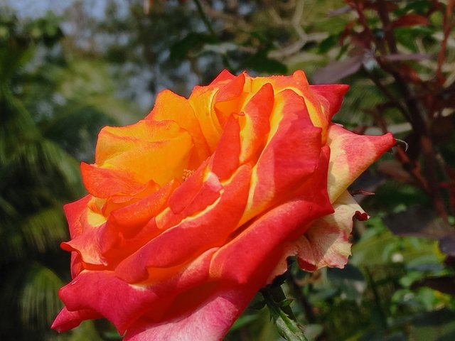 20240215_101925.jpg