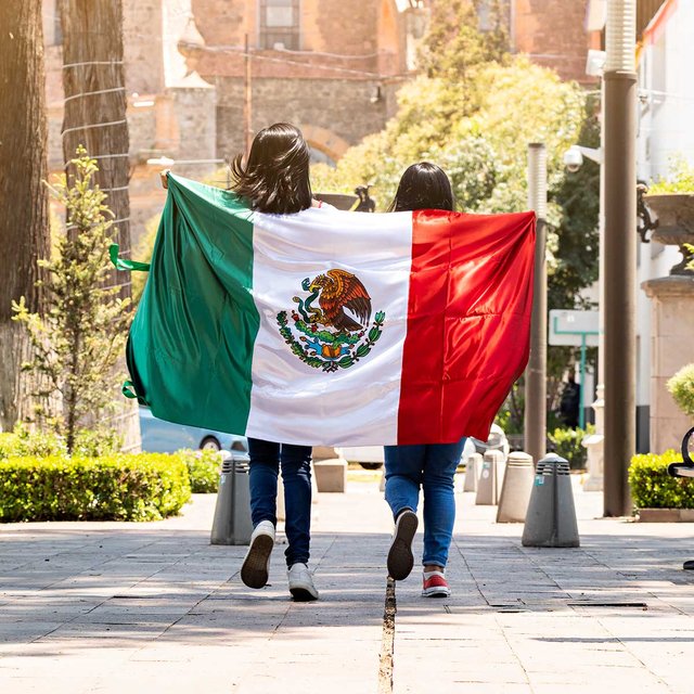 Flag-Day-Mexico.jpg