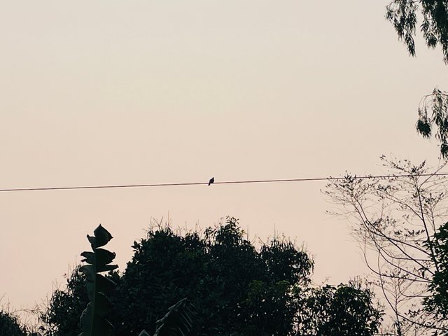 IMG_9447.jpeg