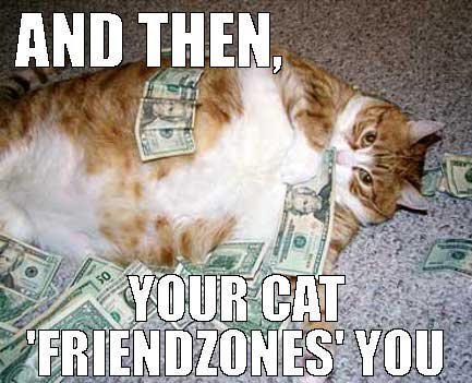 cat-friendzone-friendzoned-funny-Favim.com-3481778.jpg