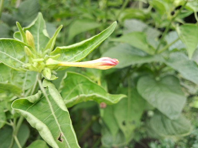 20250620_153258.jpg