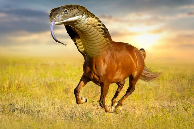 snakehorse.jpg