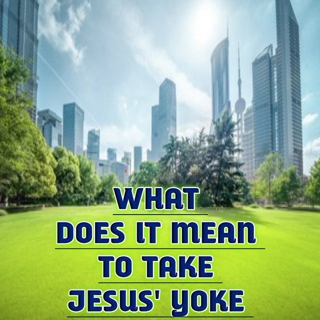 20250615_101410.png