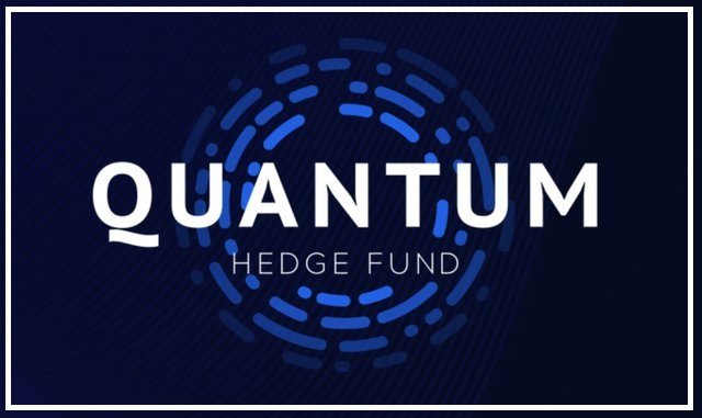 What is Quantum Hedge Fund.jpg