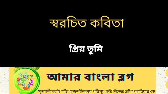 স্বরচিত কবিতা_20241219_204802_0000.png