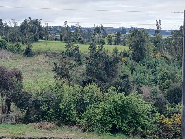 20251006_172239.jpg