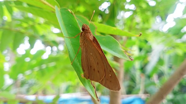 IMG20250428154157.jpg