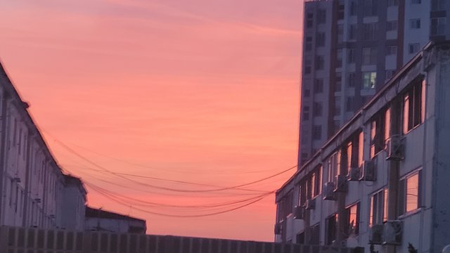 1000046028.jpg