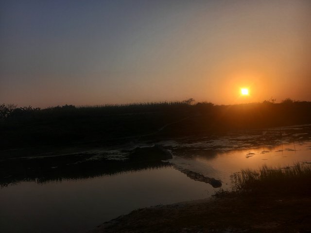 20250307_174054.jpg