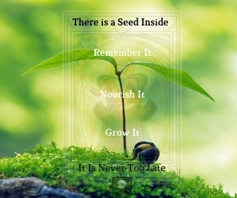 There is a Seed.jpg