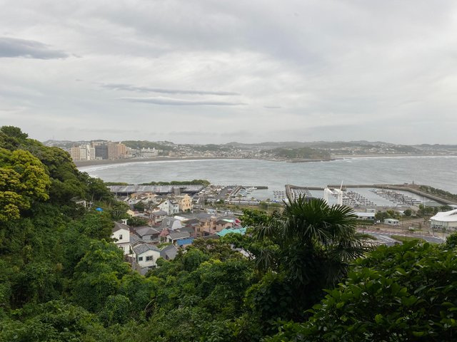 IMG_0449.jpg