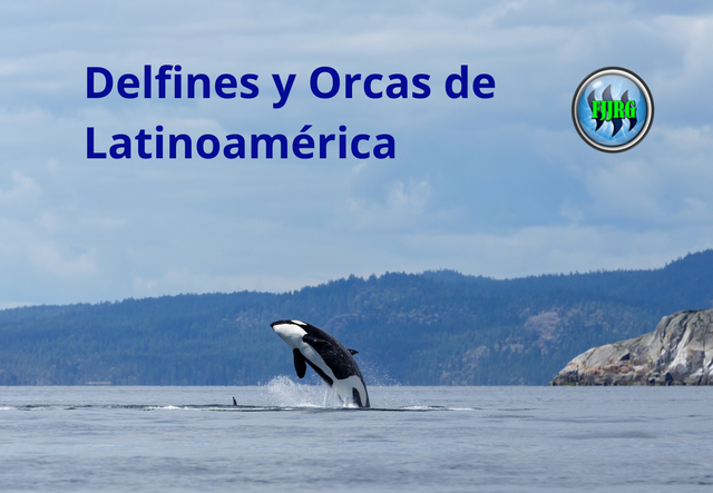 Delfines y Orcas de Latinoamérica, al 08 de noviembre 2024.png