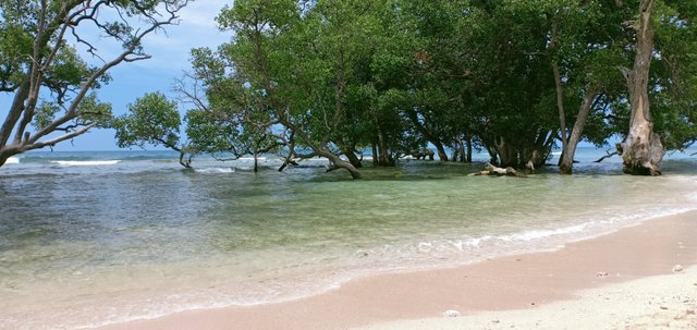 IMG_20250516_202905.jpg