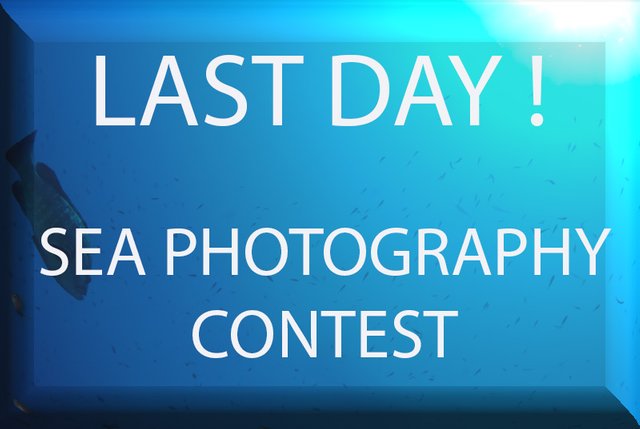 photo contest last day.jpg