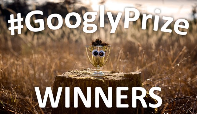 GooglyPrize GooglyEyes TitleImage Vol76