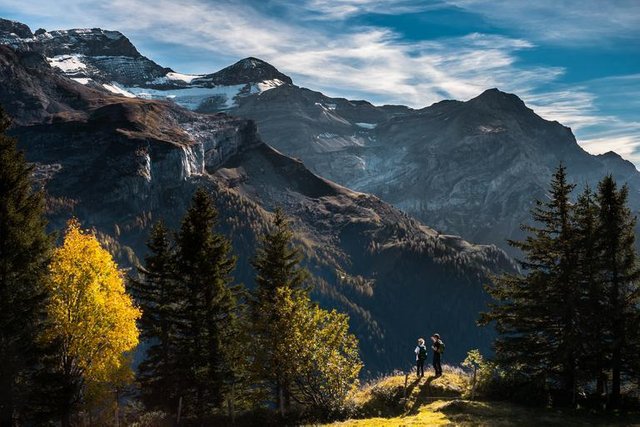 landscape_mountains_nature_trees.jpg