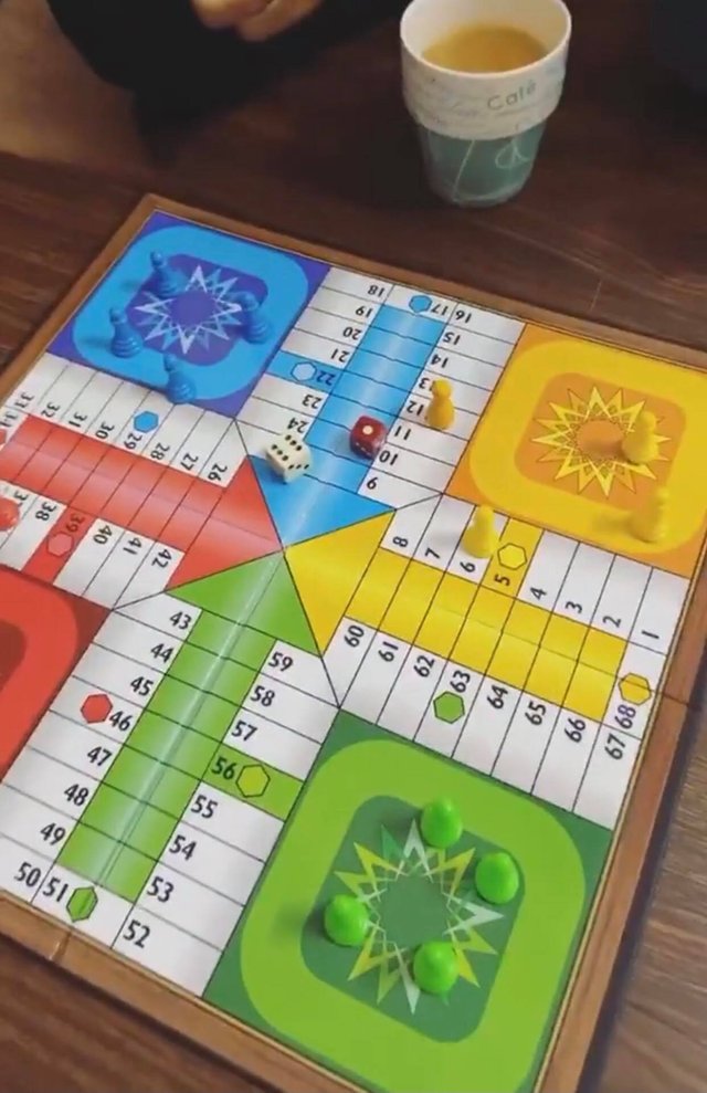 ludo.jpg