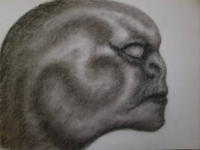 20250605_111712.jpg
