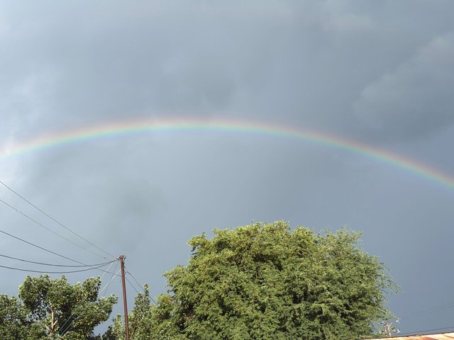 1000406031.jpg
