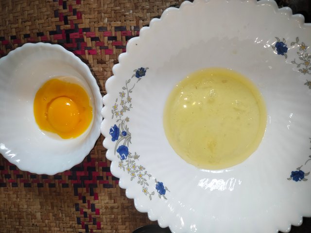 IMG20250508105139.jpg