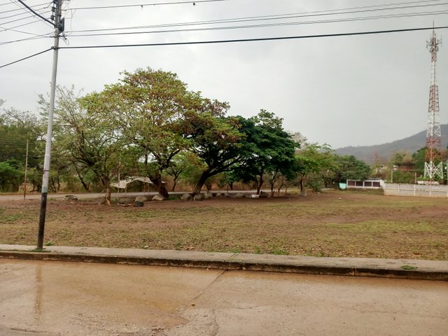 IMG_20250422_085054_127.jpg
