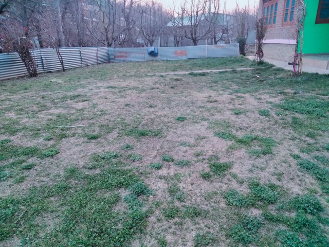 IMG20220313183424.jpg