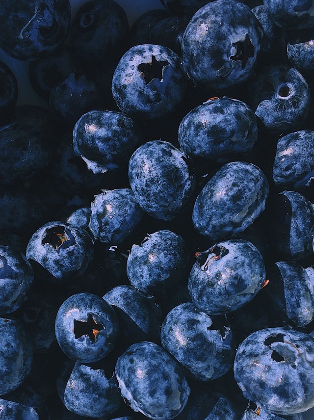 berries-bilberry-blueberries-1395958.jpg