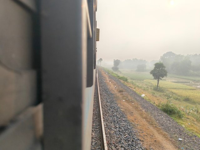 1000100671.jpg