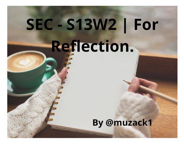 SEC - S13W2  For Reflection..png