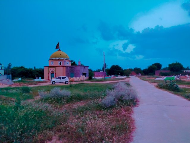1000129423.jpg