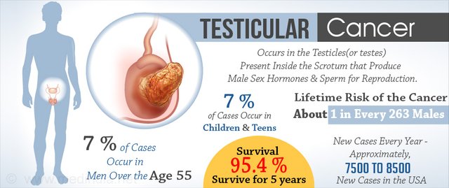 testicular-cancer.jpg