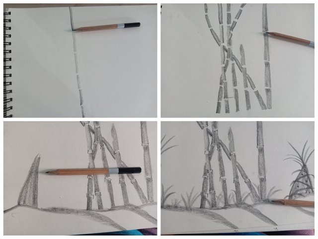 Collage_20250711_154316.jpg