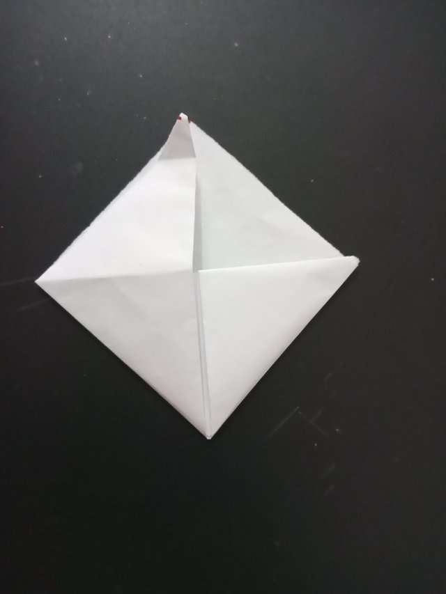 1000028042.jpg