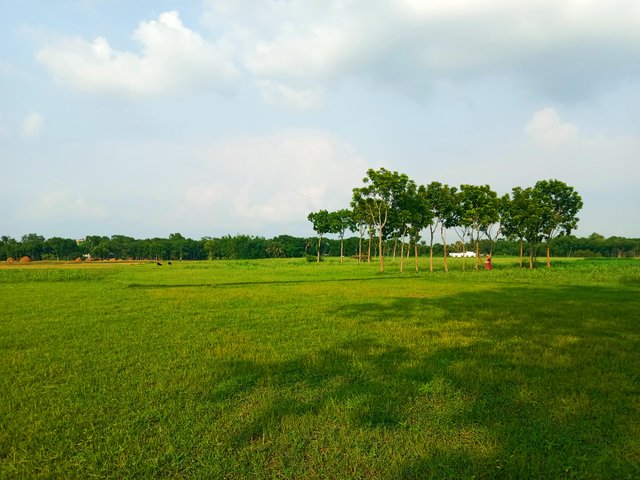 IMG_20250522_162338.jpg
