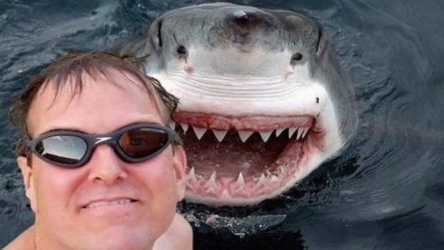 selfie-tiburon.jpg